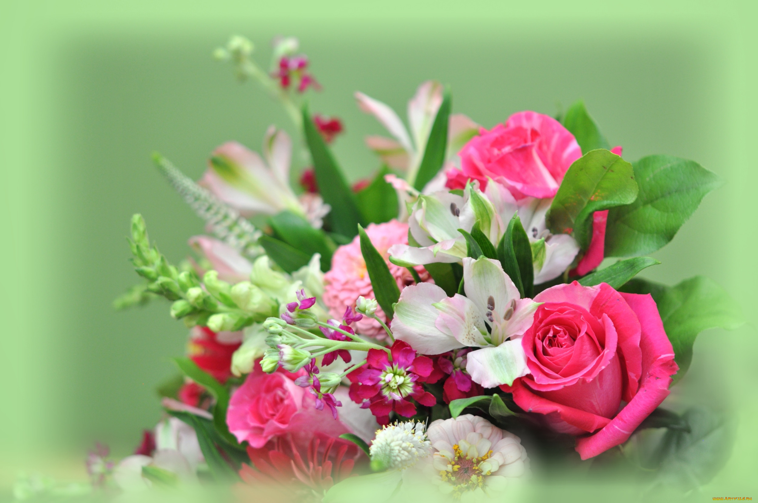 Поздравление женщине букет цветов. Красивый букет. Букет цветов открытка. Шикарные цветы. Открытка "букет".